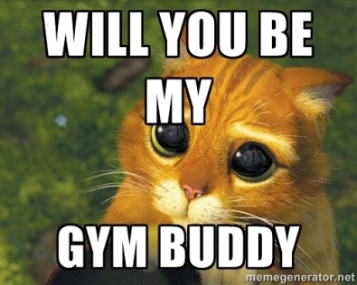 gym buddy